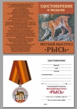 МЕТКИЙ ВЫСТРЕЛ РЫСЬ